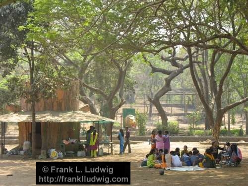 Sanjay Gandhi National Park, Borivali National Park, Maharashtra, Bombay, Mumbai, India